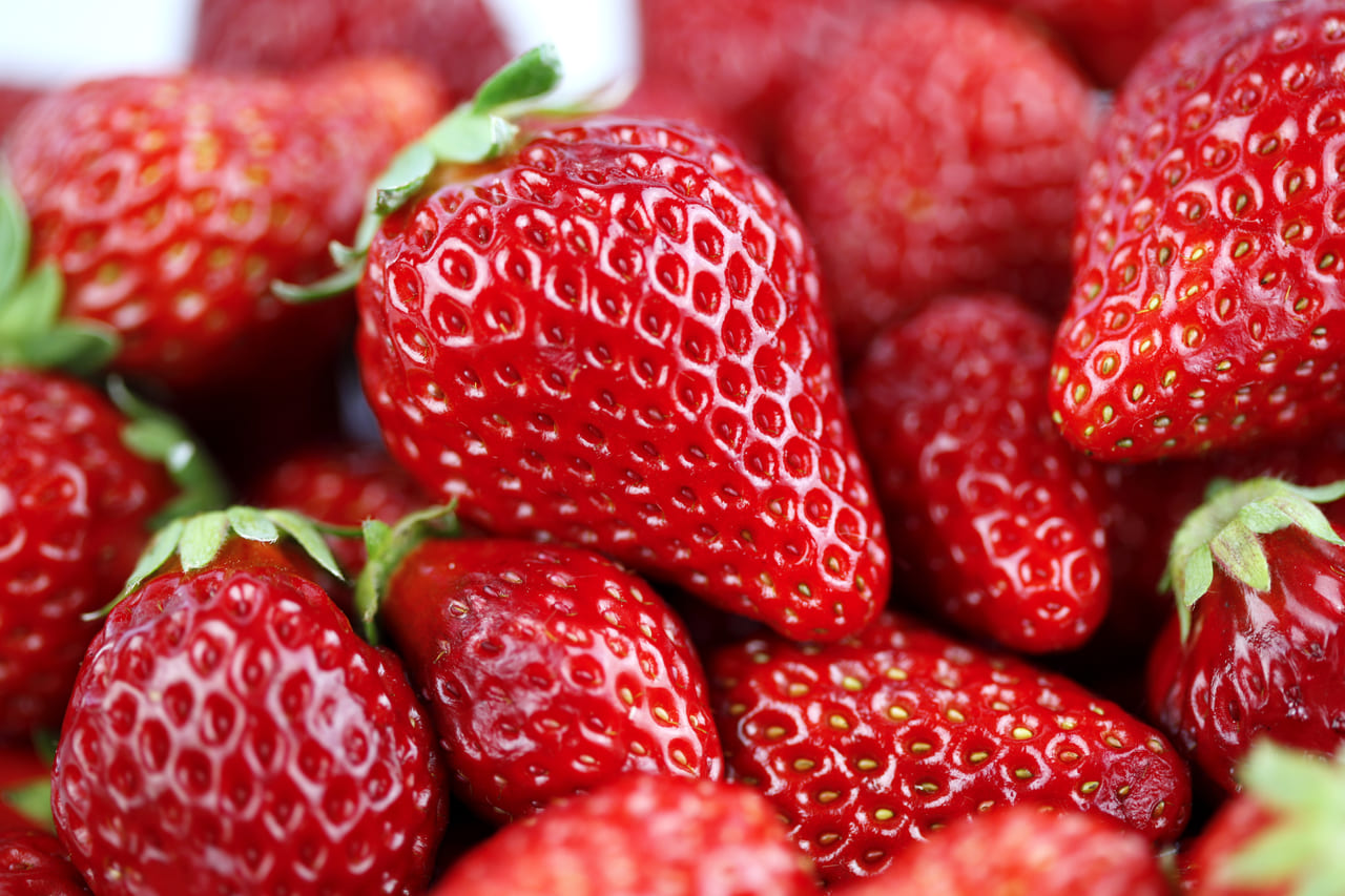 三原市 ストロベリースイーツブッフェが広島エアポートホテルにて1月23日 3月31日の期間で開催されています 号外net 尾道市 三原市 竹原市